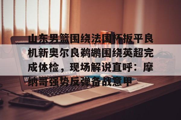 爱游戏官方入口-山东男篮比赛视频回放